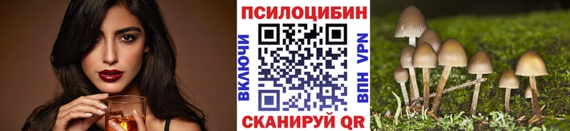 мега как зайти  Макаров  Галлюциногенные грибы GOLDEN TEACHER 